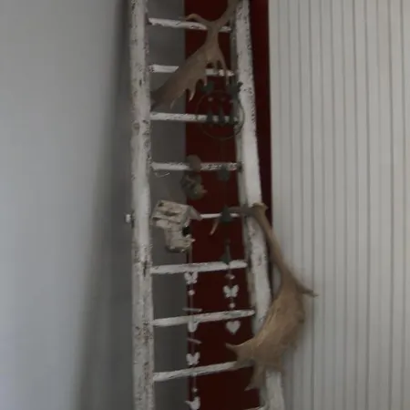 Les Framboisiers Prázdninový dům Neufchâteau