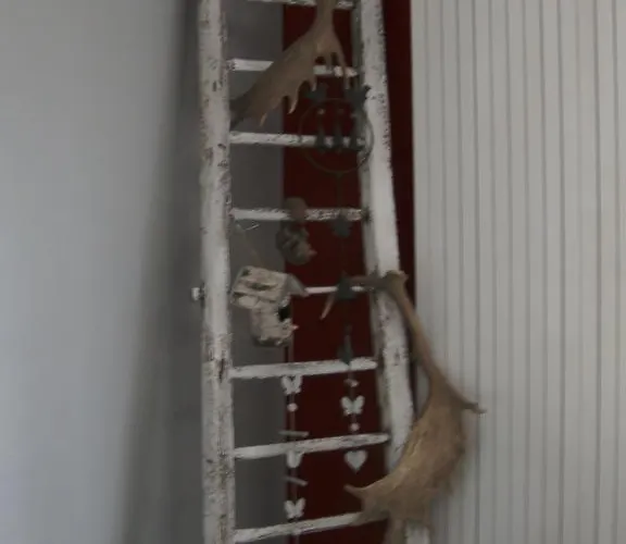 Les Framboisiers Semesterbostad Neufchâteau